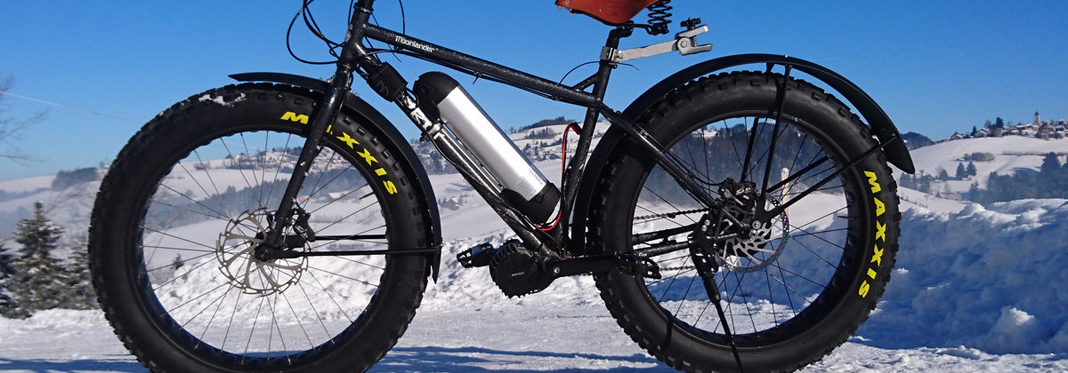 Custom Ebikes