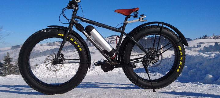 Custom Ebikes